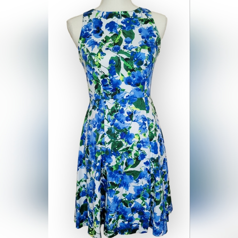 Milly Sleeveless Fit and Flare Blue Floral Print Dress